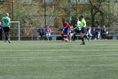 DSC03041