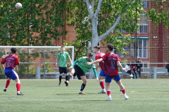DSC03101