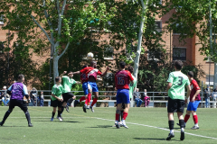 DSC03201