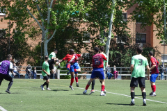 DSC03203