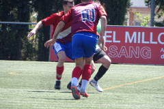 DSC03220