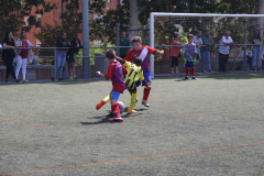IMG_6636