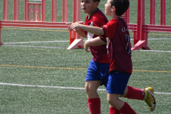 DSC02713