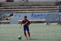 DSC02841