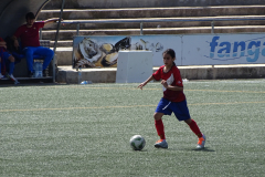 DSC02843
