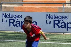 DSC02906