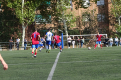 DSC06322